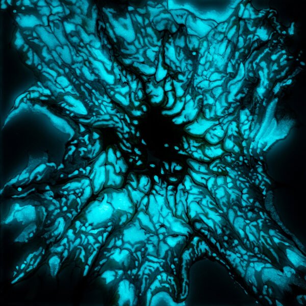 Portal to Health - Image 2